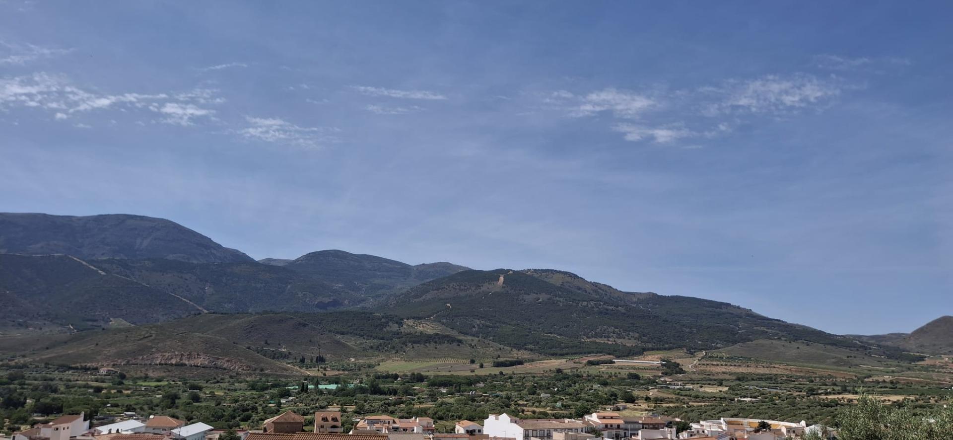 Fincas y solares-Venta-LÃ¡ujar de Andarax-1746156-Foto-6