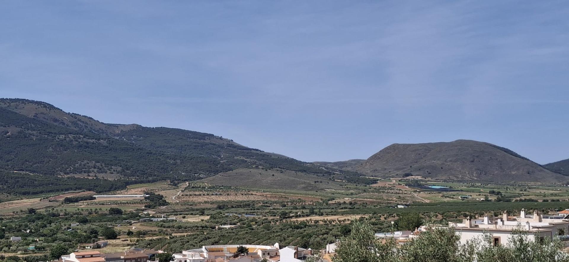 Fincas y solares-Venta-LÃ¡ujar de Andarax-1746156-Foto-4