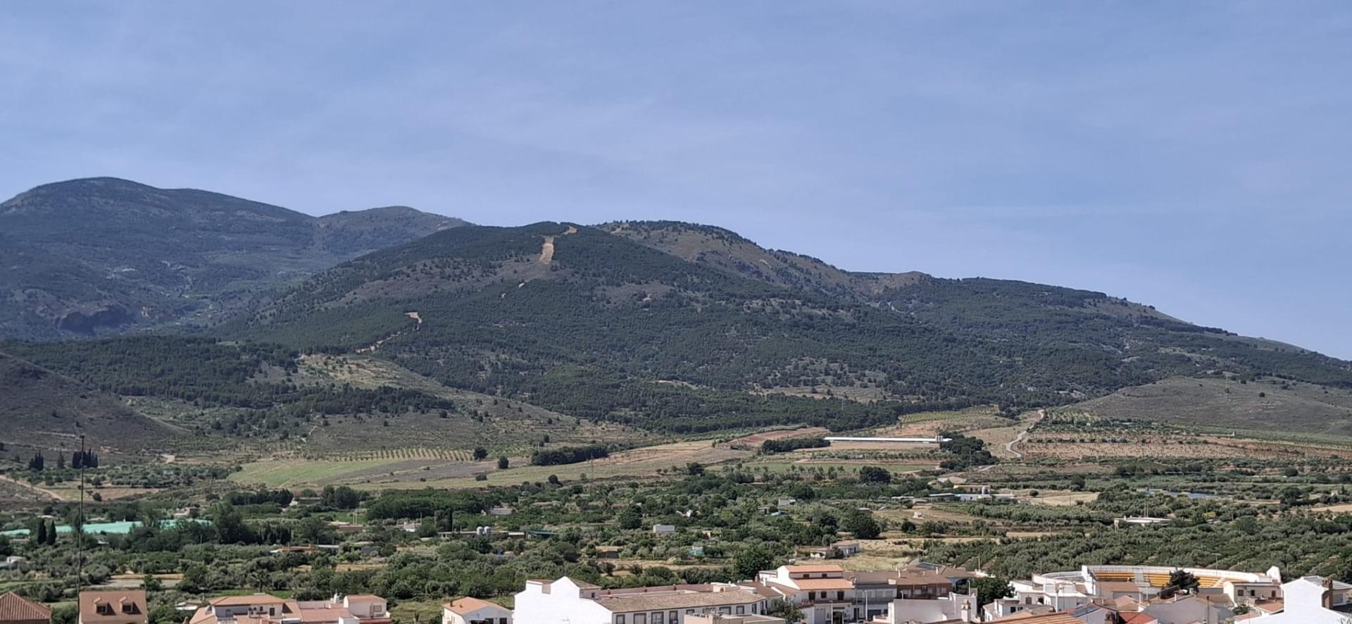 Fincas y solares-Venta-LÃ¡ujar de Andarax-1746156-Foto-2