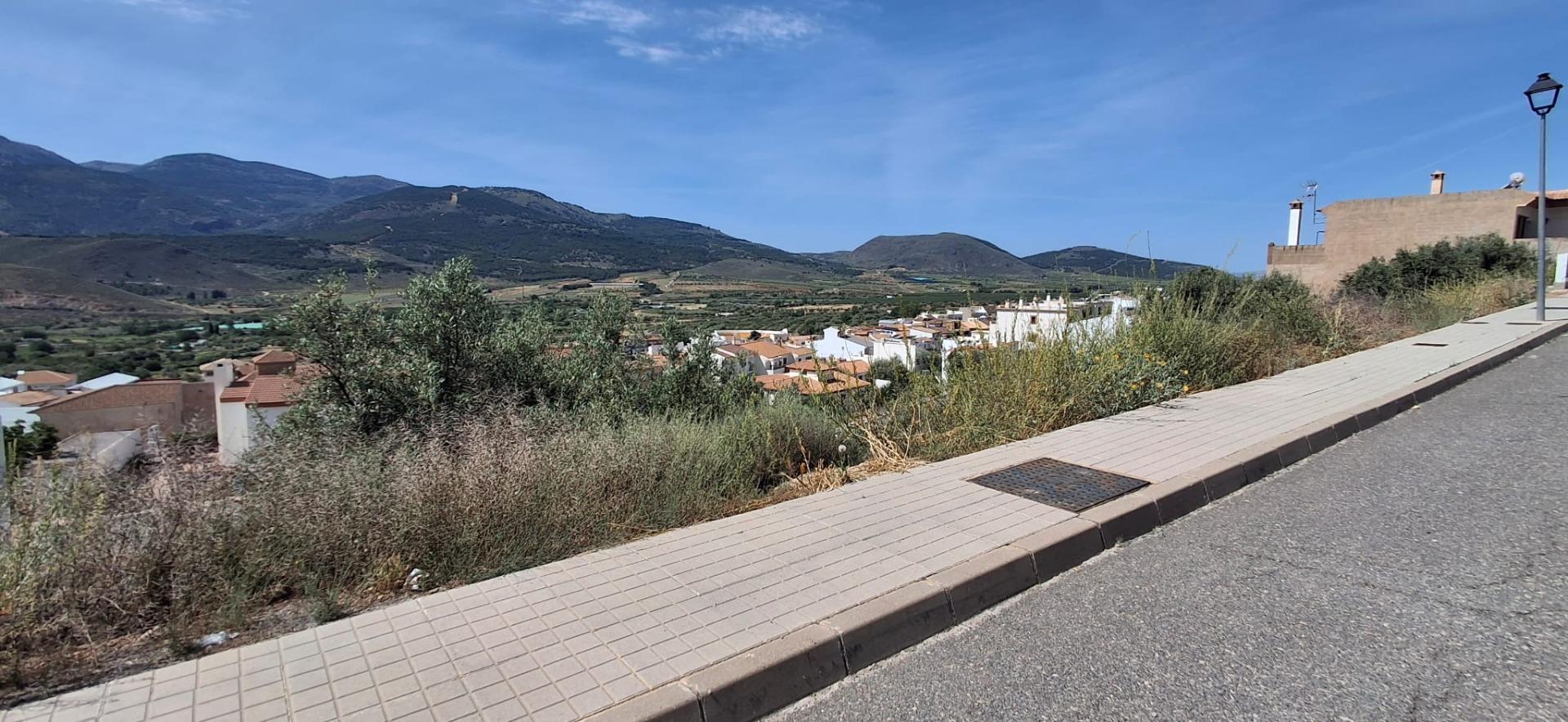Fincas y solares-Venta-LÃ¡ujar de Andarax-1746156-Foto-14
