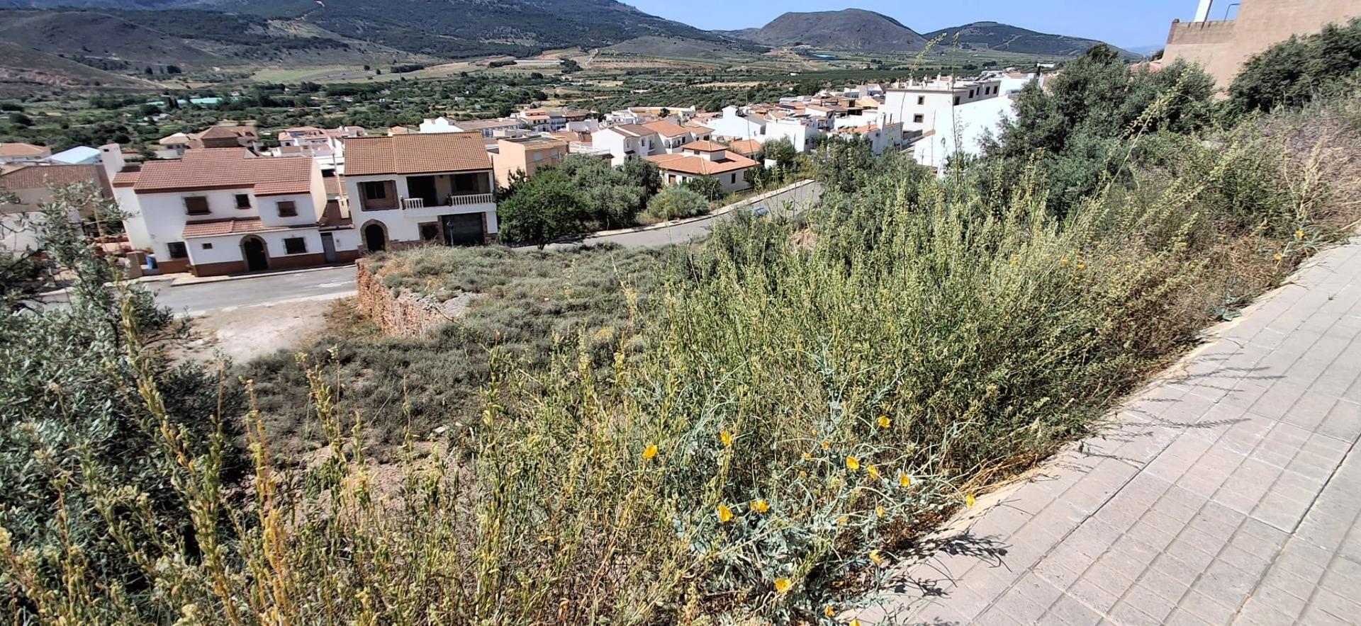 Fincas y solares-Venta-LÃ¡ujar de Andarax-1746156-Foto-13