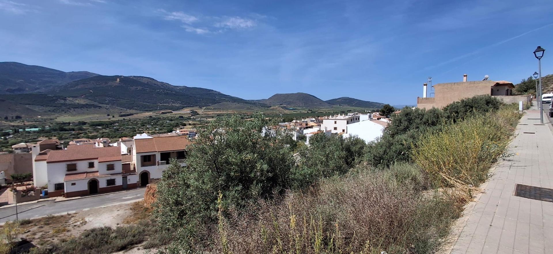 Fincas y solares-Venta-LÃ¡ujar de Andarax-1746156-Foto-21