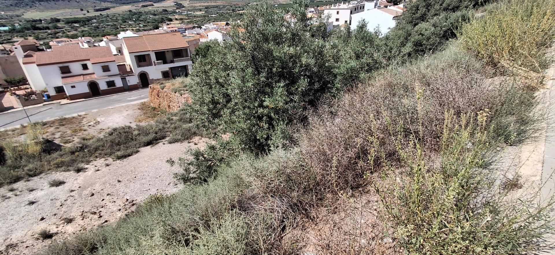 Fincas y solares-Venta-LÃ¡ujar de Andarax-1746156-Foto-16