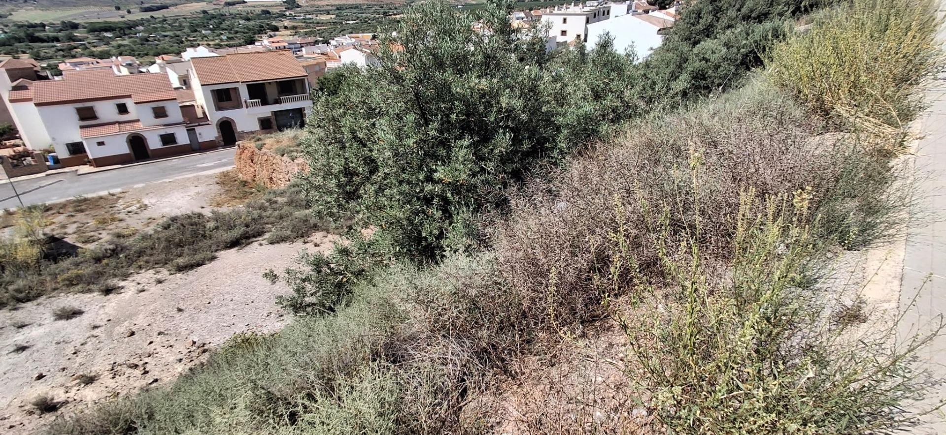Fincas y solares-Venta-LÃ¡ujar de Andarax-1746156-Foto-17