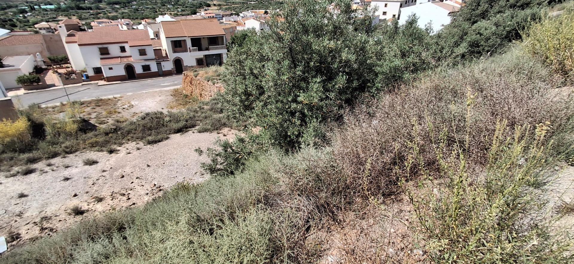 Fincas y solares-Venta-LÃ¡ujar de Andarax-1746156-Foto-20
