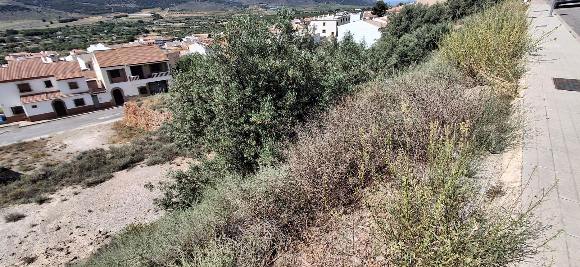 Fincas y solares-Venta-LÃ¡ujar de Andarax-1746156-Foto-19