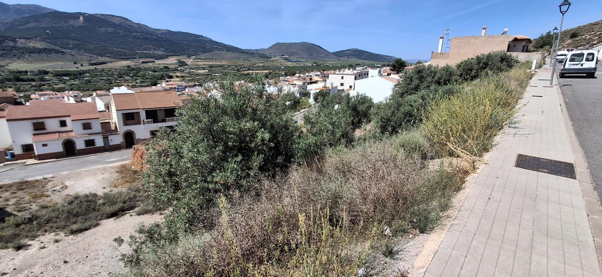 Fincas y solares-Venta-LÃ¡ujar de Andarax-1746156-Foto-22