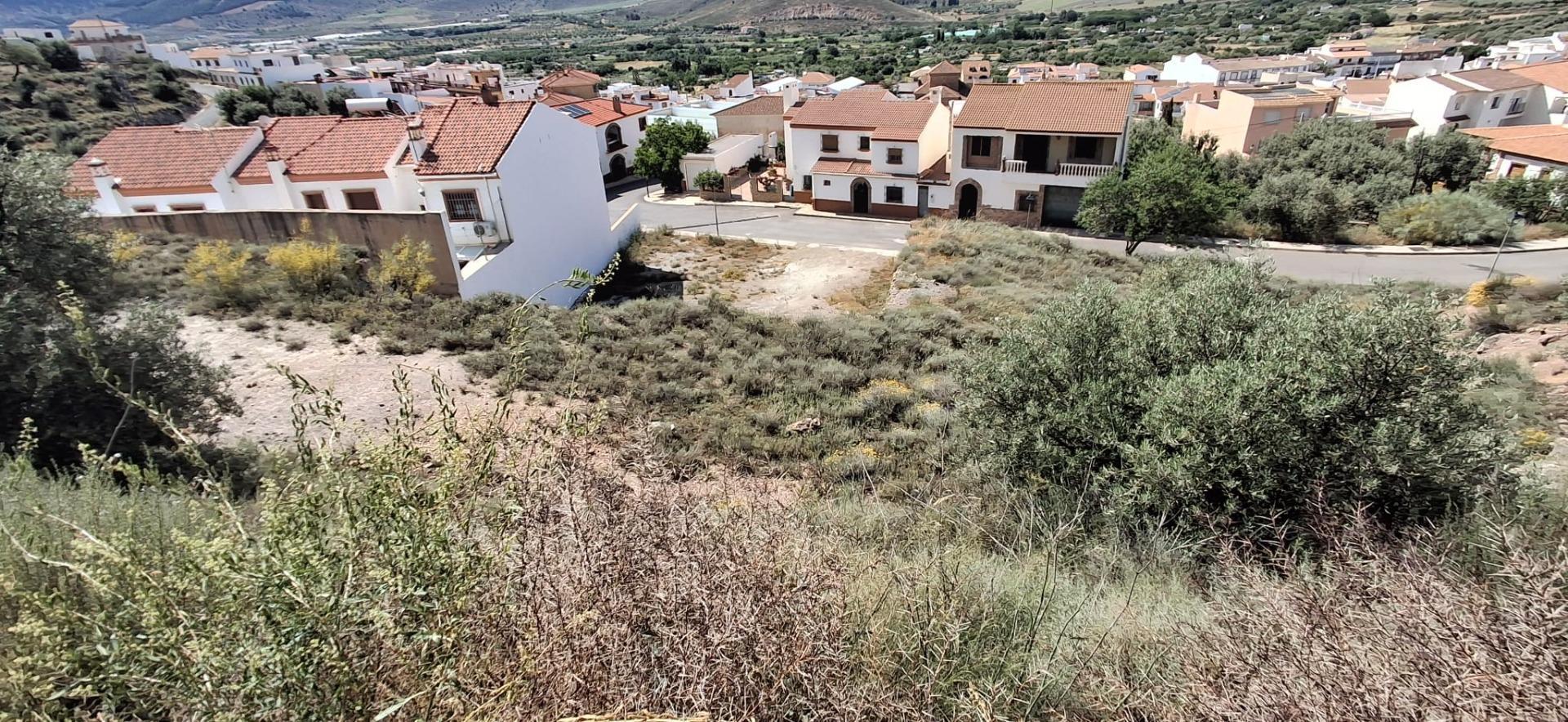 Fincas y solares-Venta-LÃ¡ujar de Andarax-1746156-Foto-25