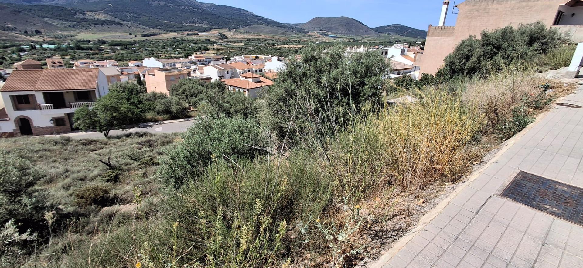 Fincas y solares-Venta-LÃ¡ujar de Andarax-1746156-Foto-26