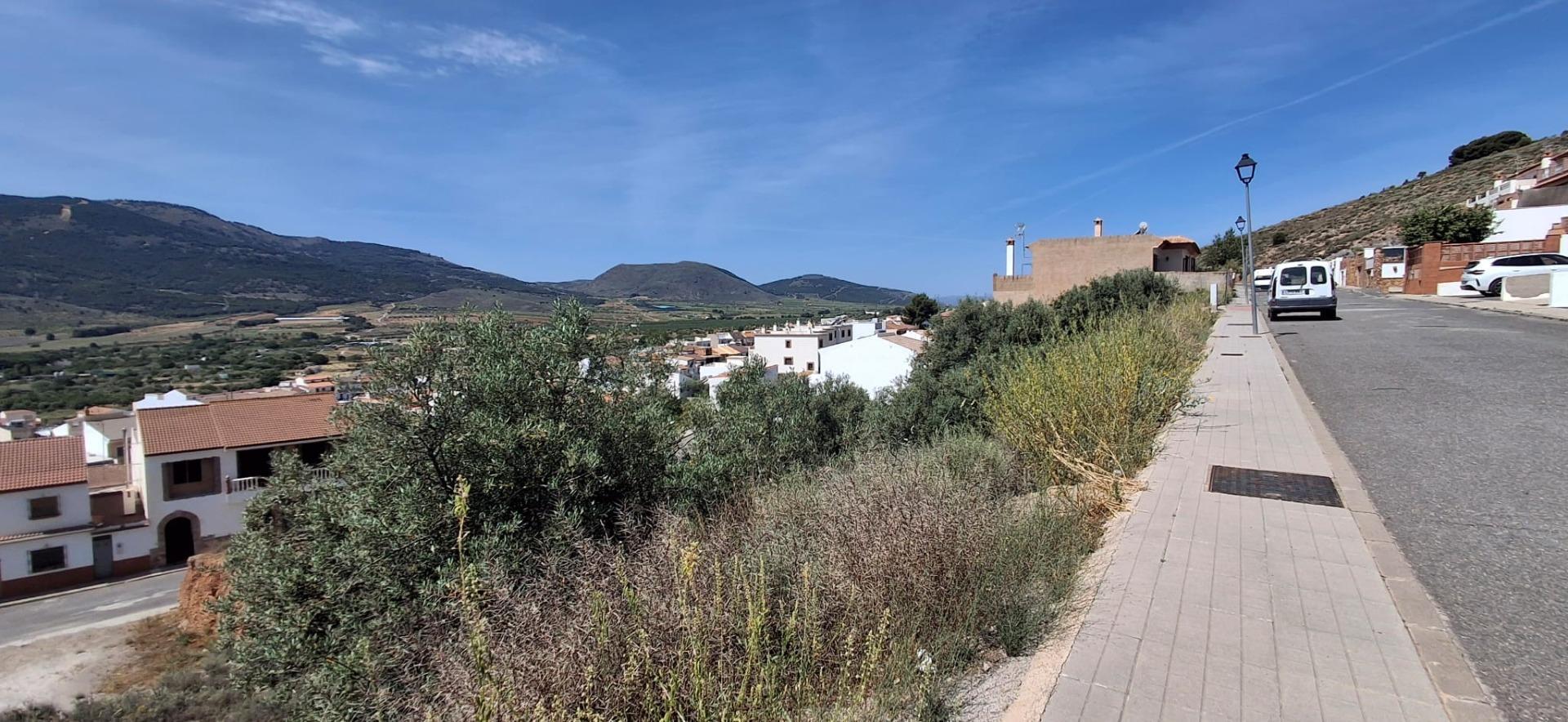 Fincas y solares-Venta-LÃ¡ujar de Andarax-1746156-Foto-23