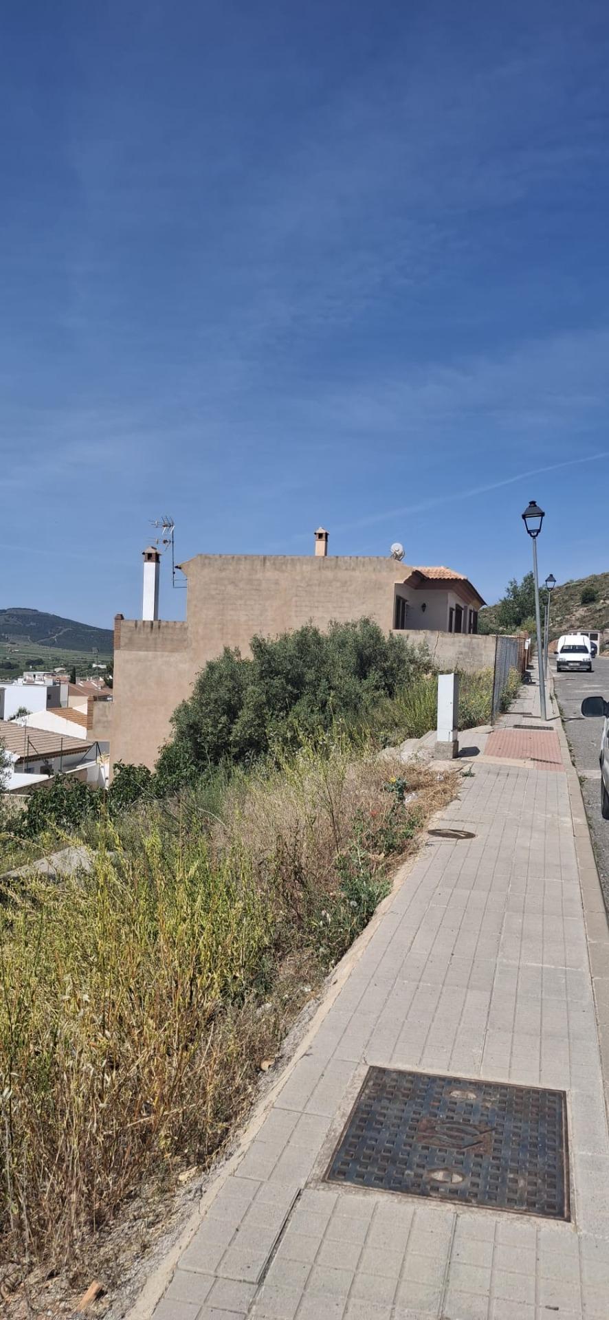 Fincas y solares-Venta-LÃ¡ujar de Andarax-1746156-Foto-28