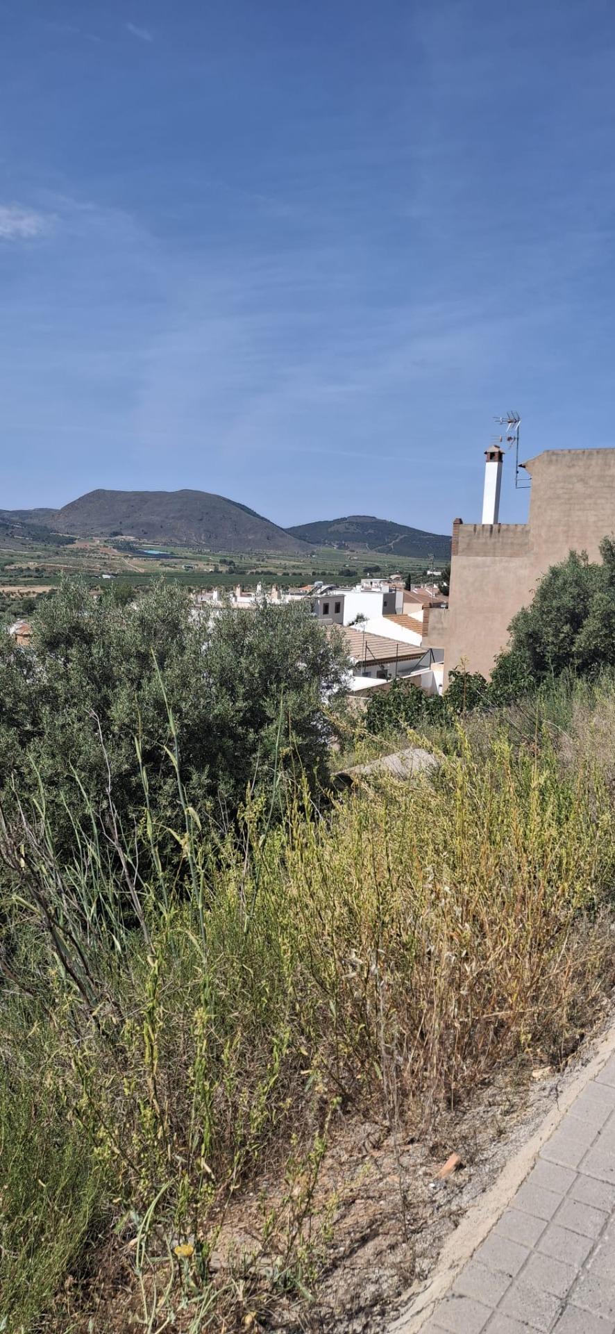 Fincas y solares-Venta-LÃ¡ujar de Andarax-1746156-Foto-29