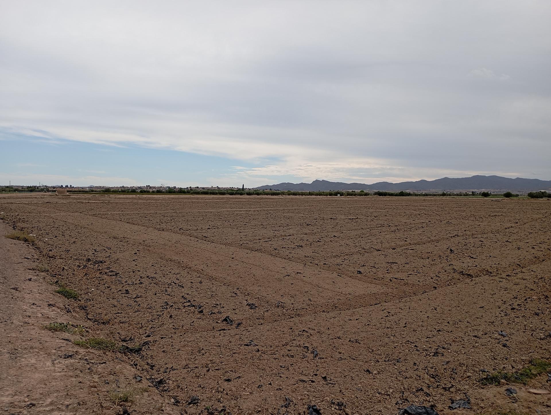 Fincas y solares-Venta-Totana-1747730