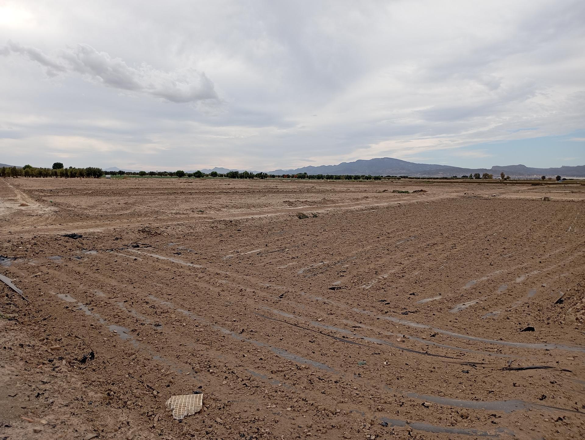 Fincas y solares-Venta-Totana-1747730-Foto-2