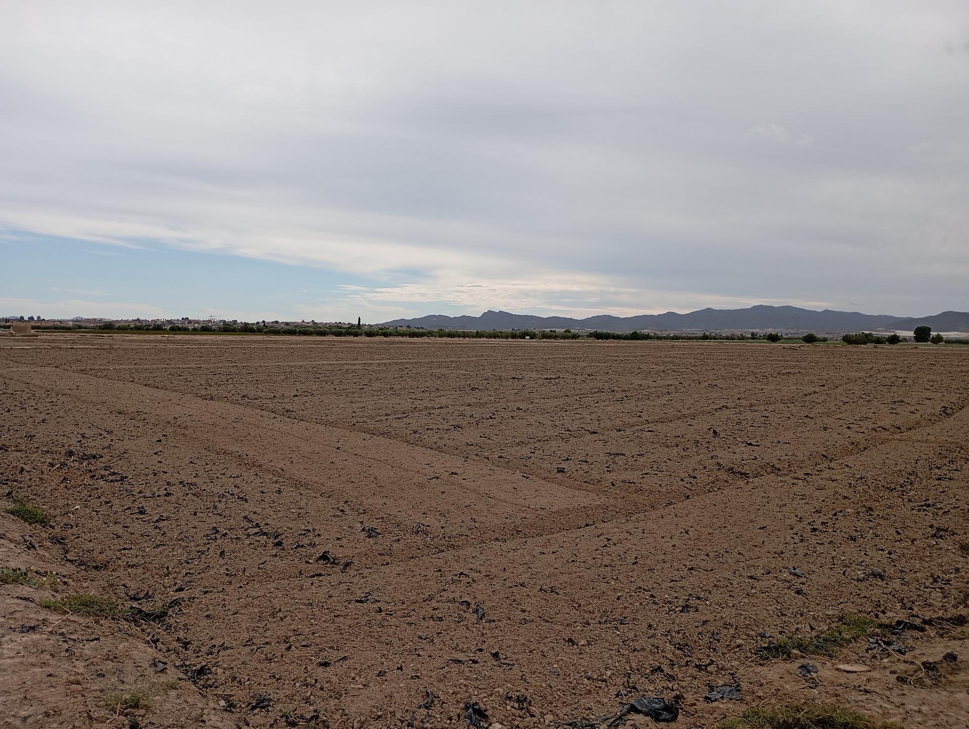 Fincas y solares-Venta-Totana-1747730-Foto-6