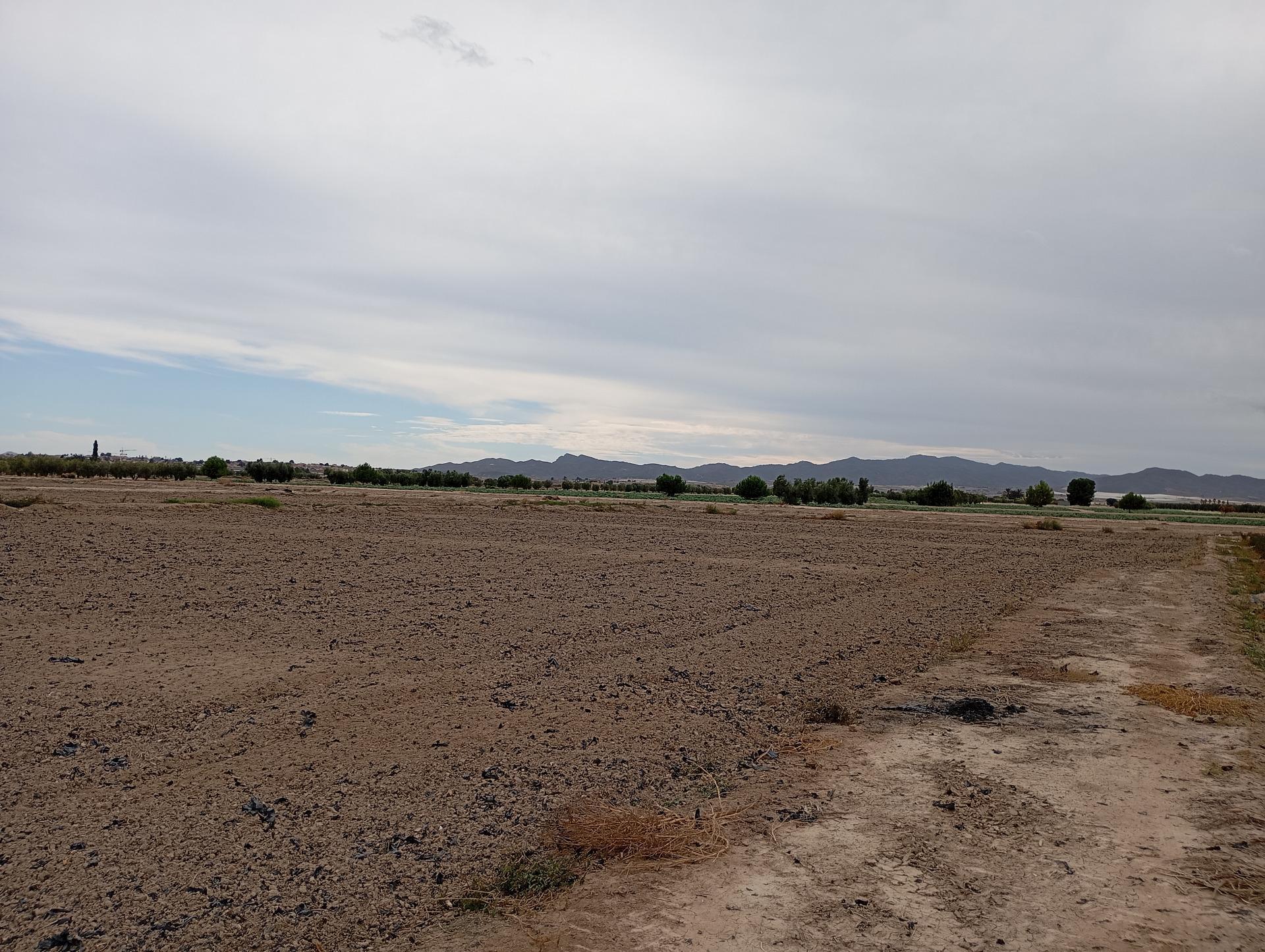 Fincas y solares-Venta-Totana-1747730-Foto-5