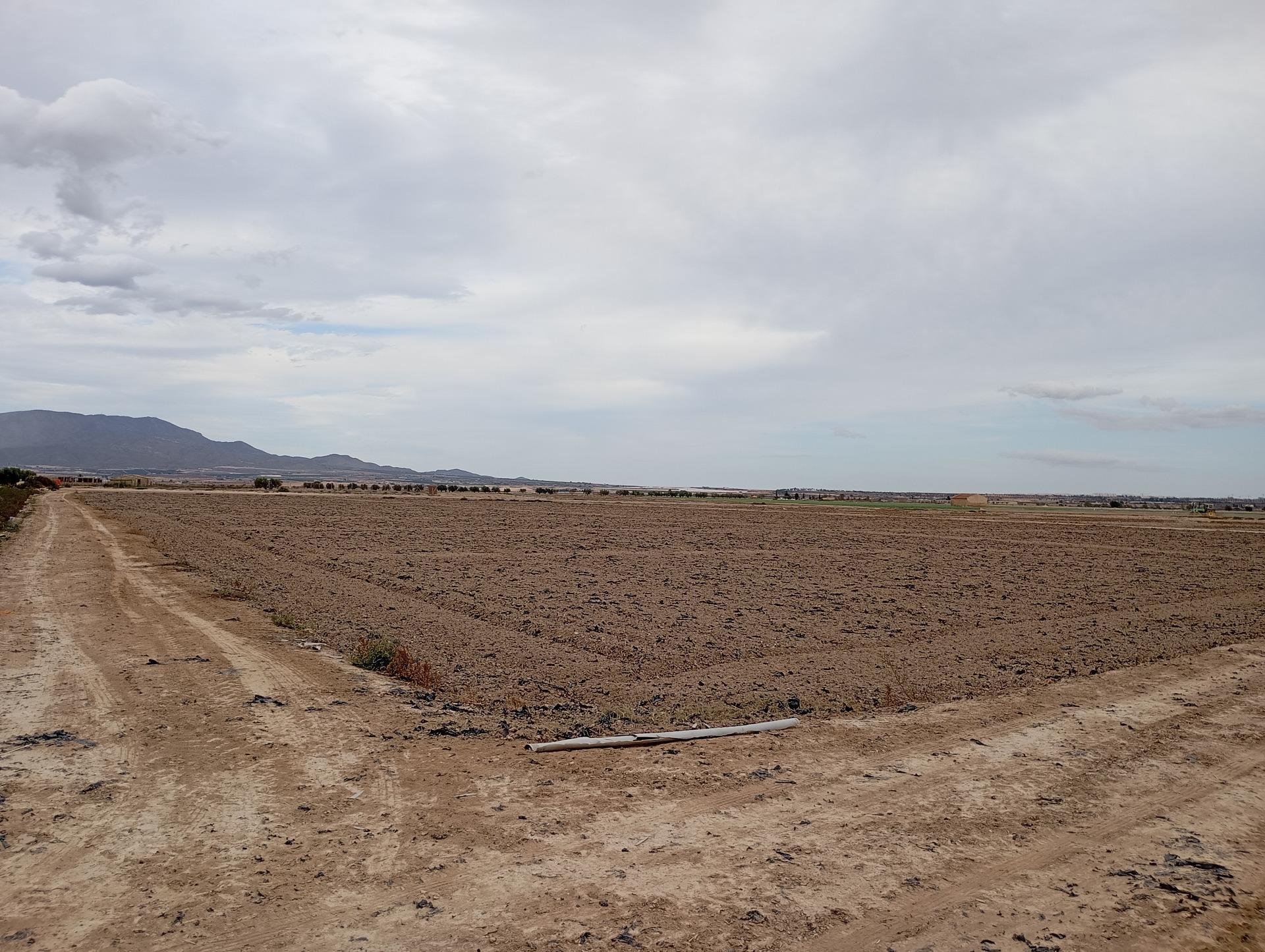 Fincas y solares-Venta-Totana-1747730-Foto-4