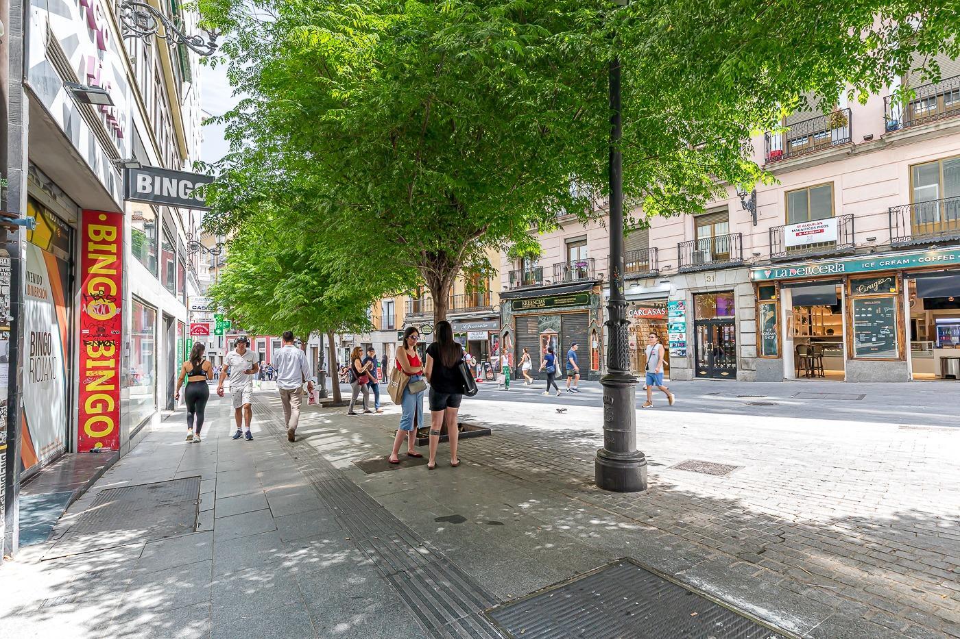 Pisos-Venta-Madrid-1751155-Foto-43