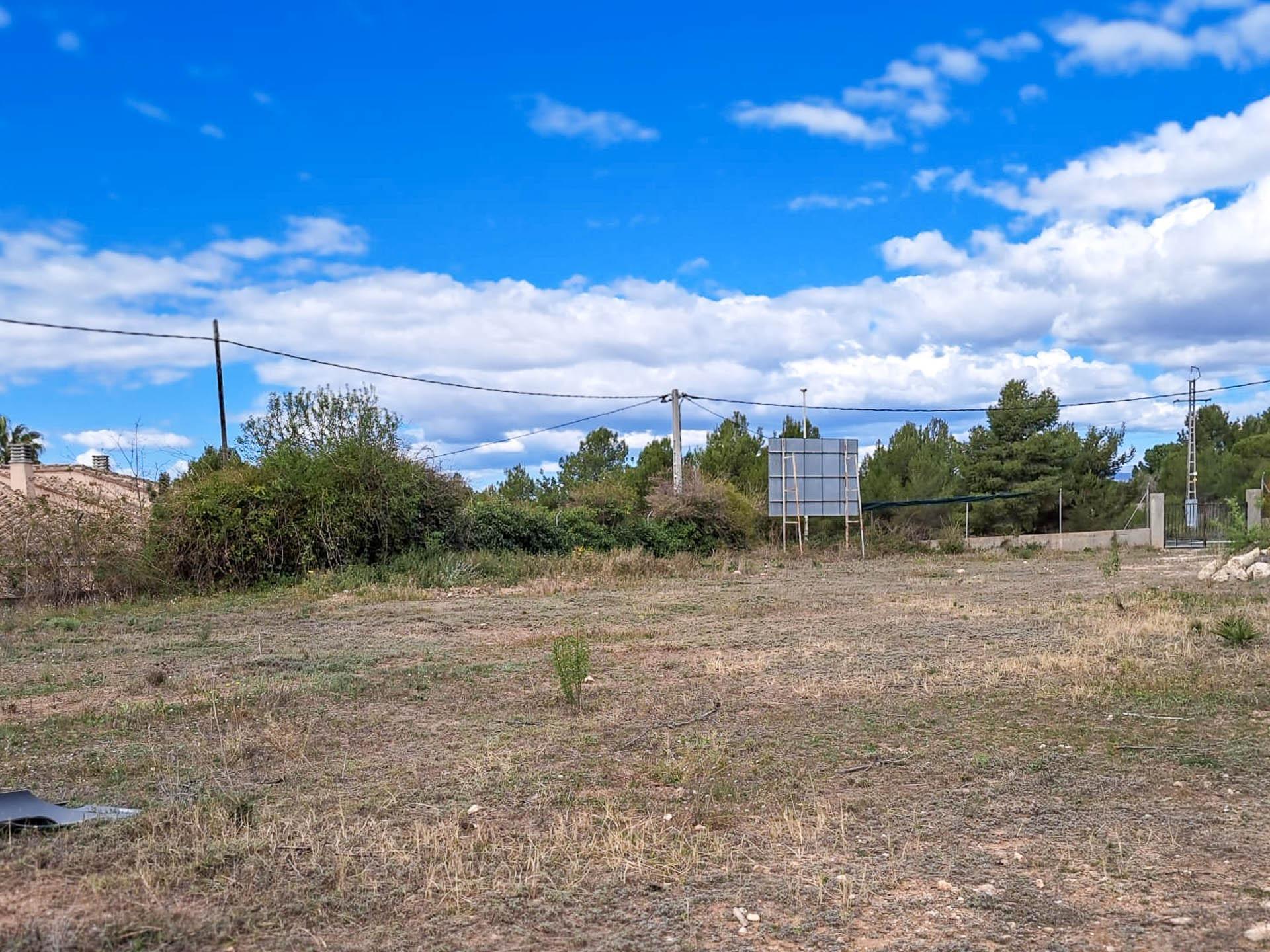 Fincas y solares-Venta-LlÃ­ria-863475-Foto-4