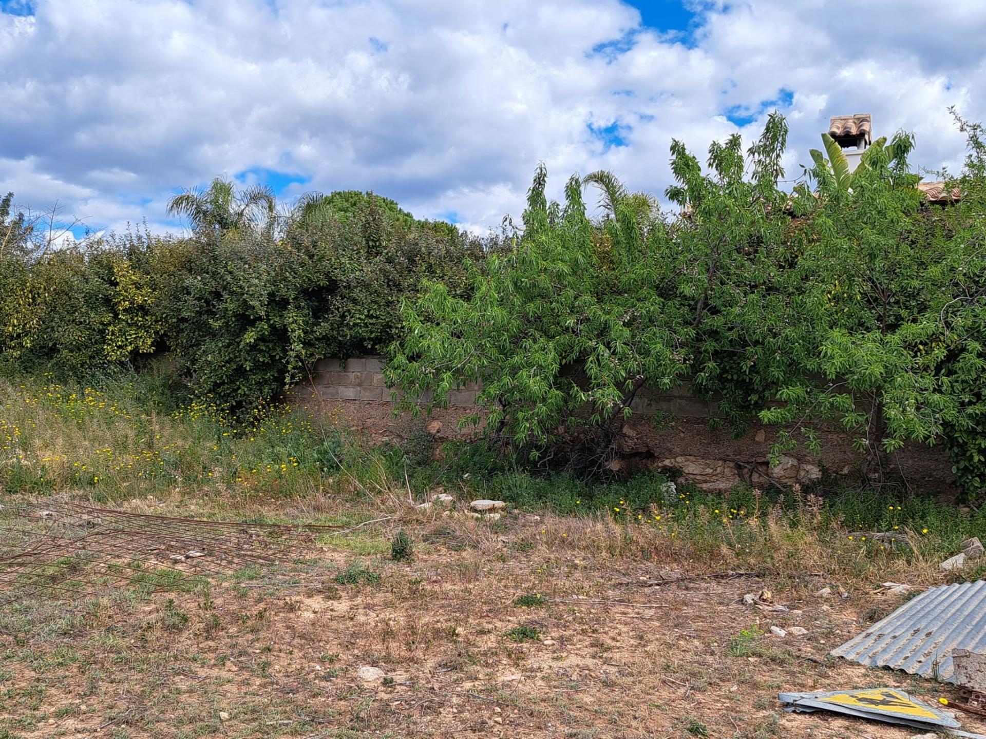 Fincas y solares-Venta-LlÃ­ria-863475-Foto-9