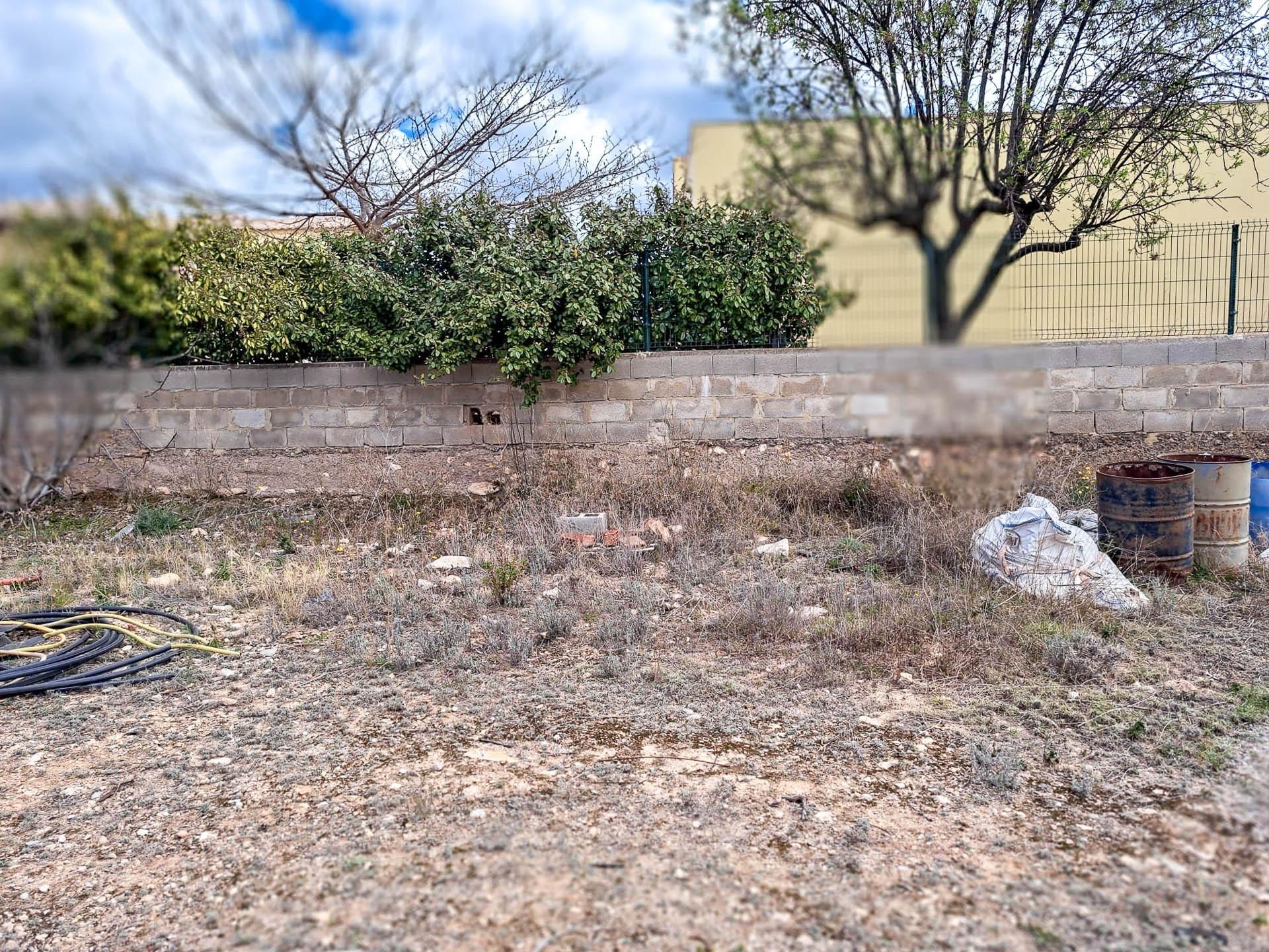 Fincas y solares-Venta-LlÃ­ria-863475-Foto-10