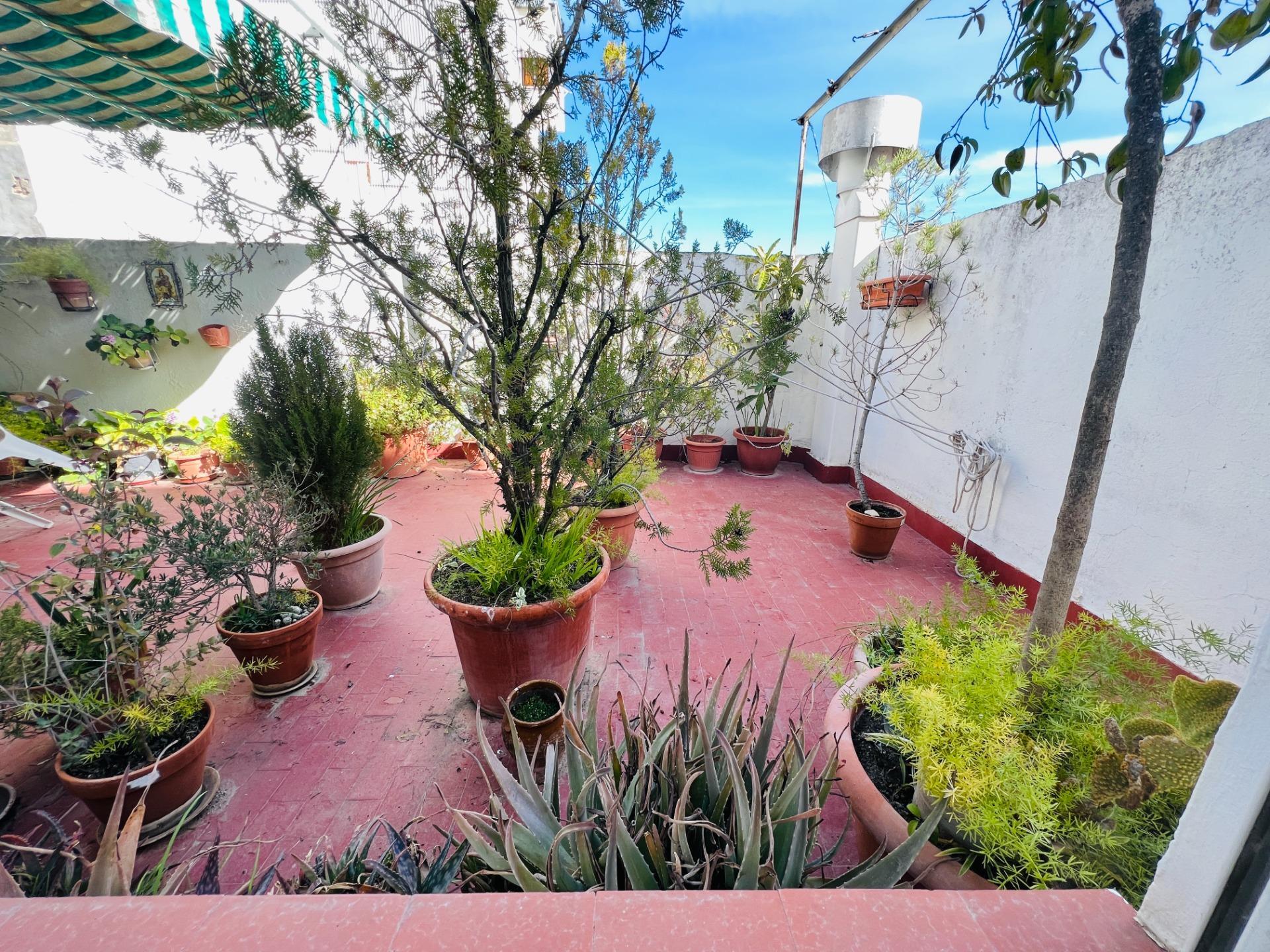 Casas o chalets-Venta-Ãbeda-1834488-Foto-29
