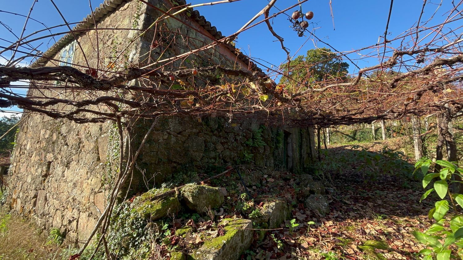 Casa en venta, Agromaior, La Coruña