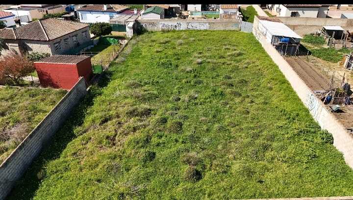 Fincas y solares-Venta-Puerto Real-1718768