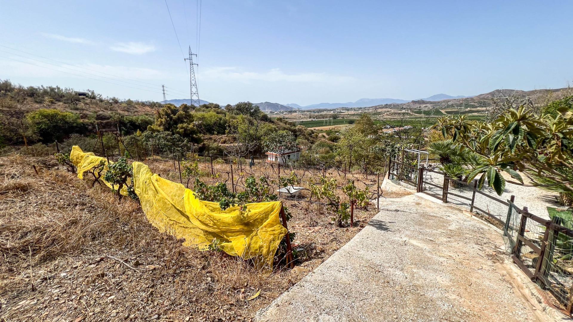 Casas o chalets-Venta-Campanillas-1411465-Foto-28