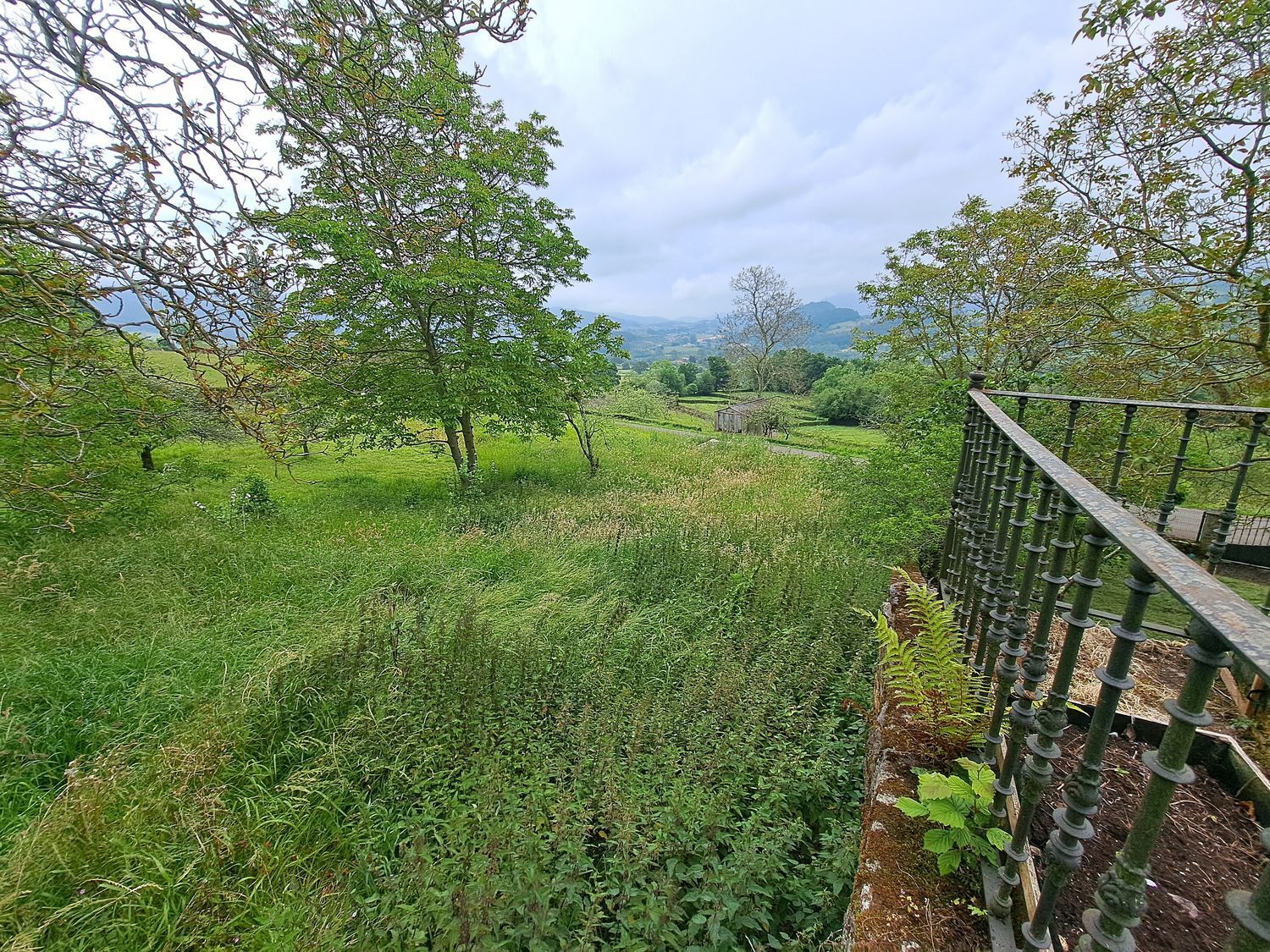 Fincas y solares-Venta-Villaviciosa-1766343-Foto-5
