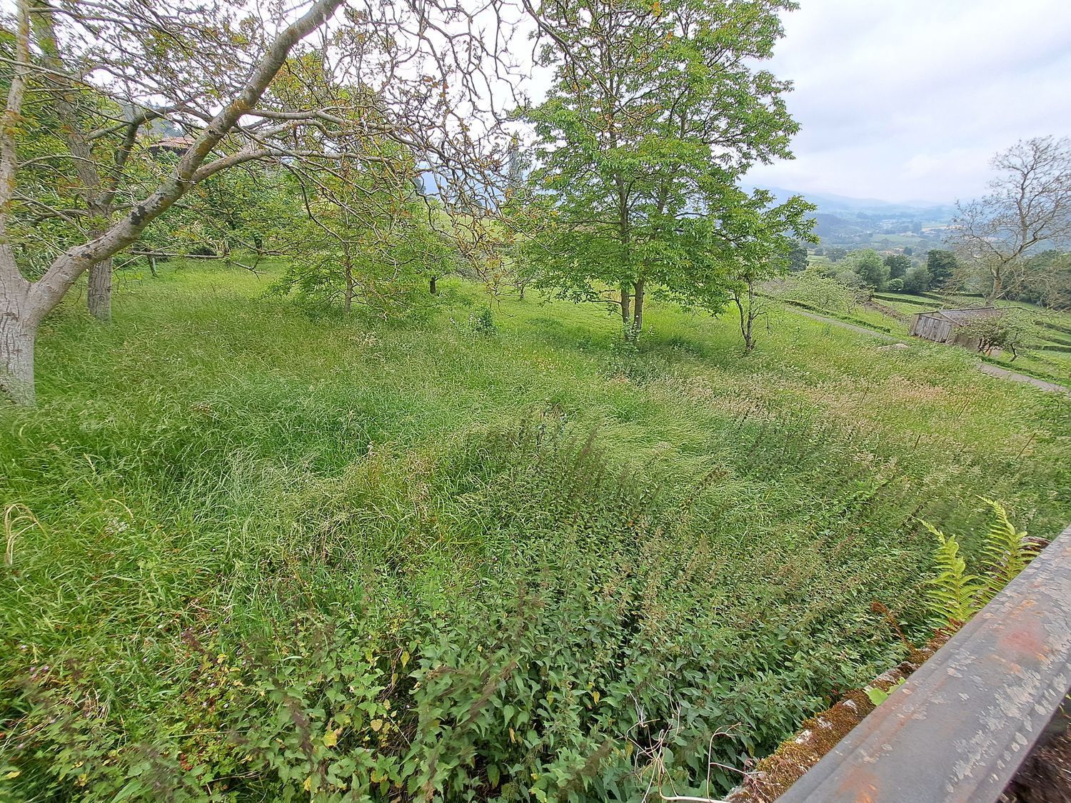 Fincas y solares-Venta-Villaviciosa-1766343-Foto-4