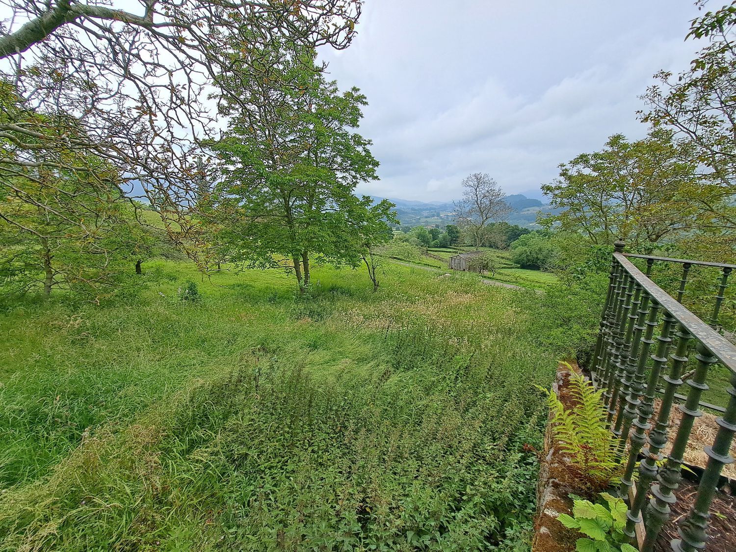 Fincas y solares-Venta-Villaviciosa-1766343-Foto-6
