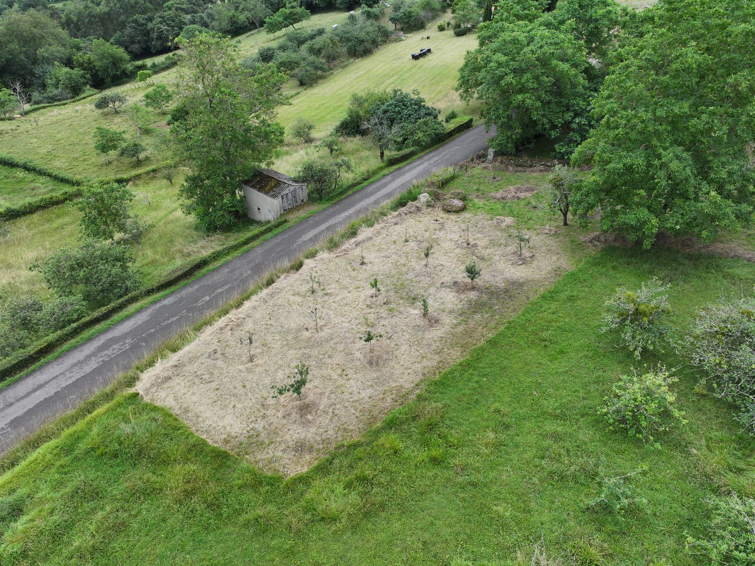 Fincas y solares-Venta-Villaviciosa-1766343-Foto-14