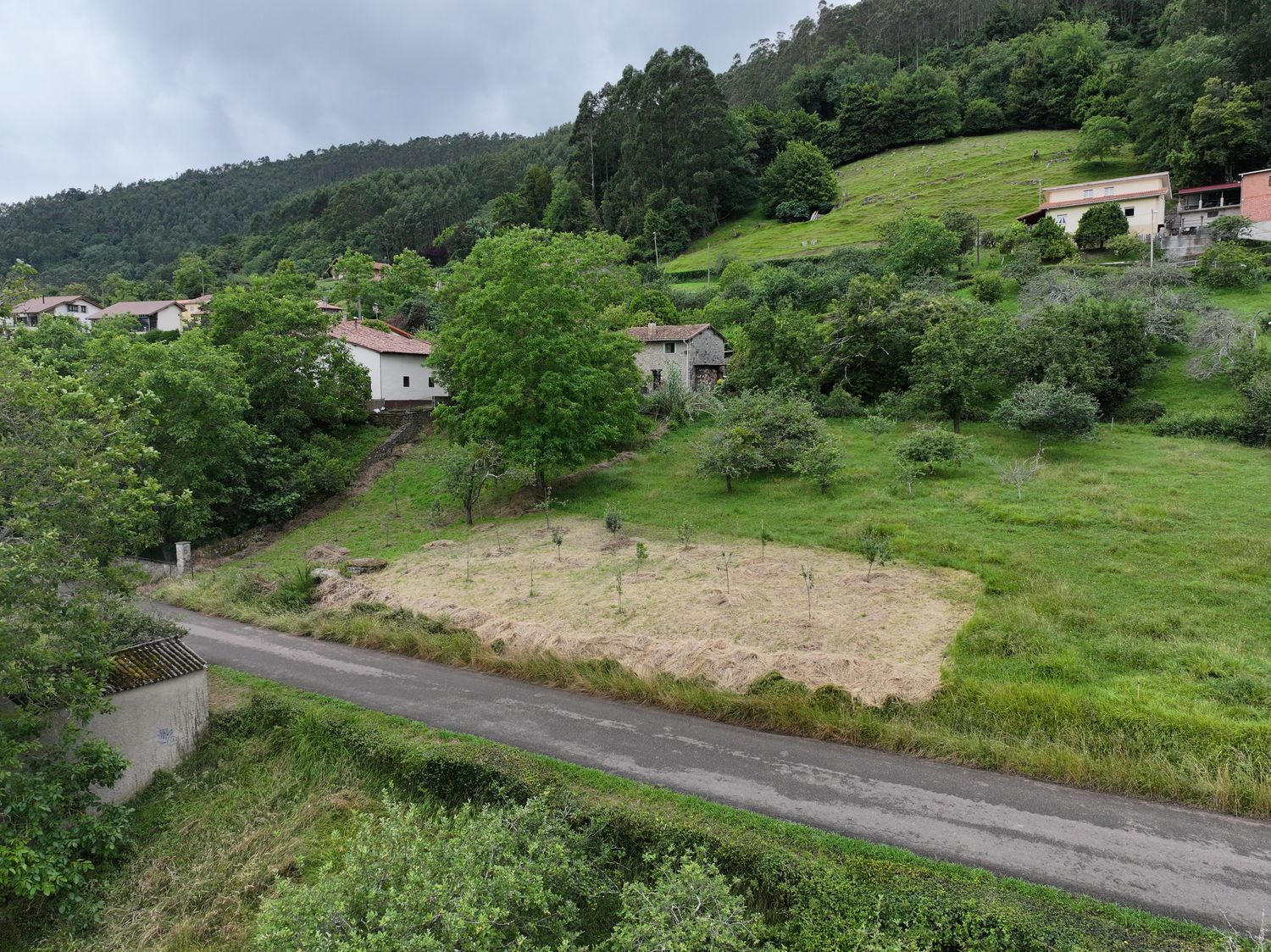 Fincas y solares-Venta-Villaviciosa-1766343-Foto-17