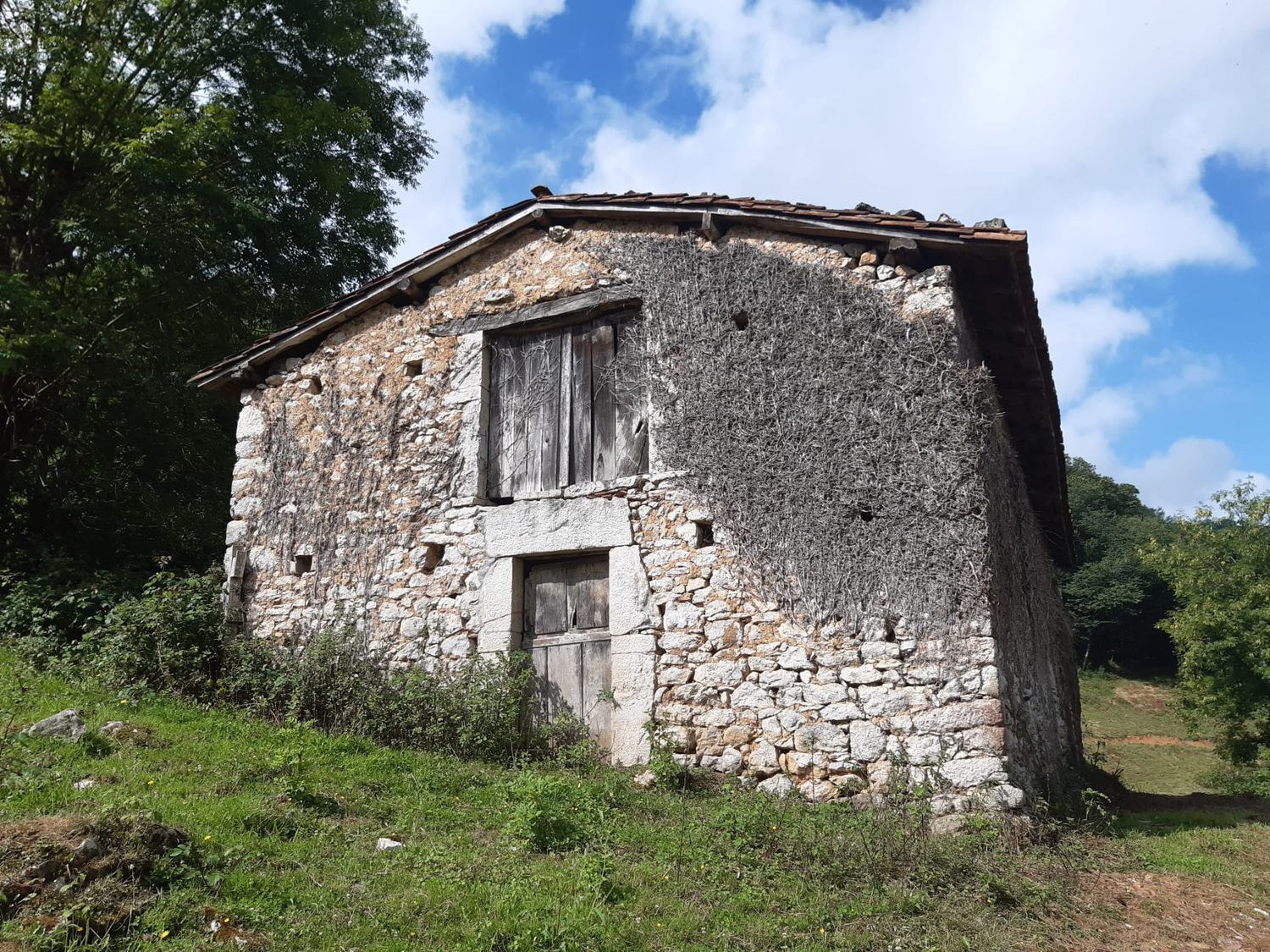 Casas o chalets-Venta-OnÃ­s-570811-Foto-3