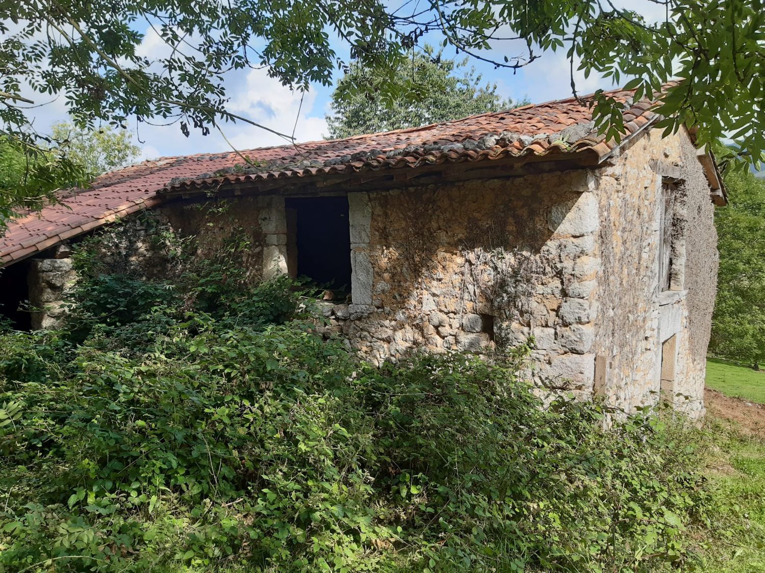 Casas o chalets-Venta-OnÃ­s-570811-Foto-5