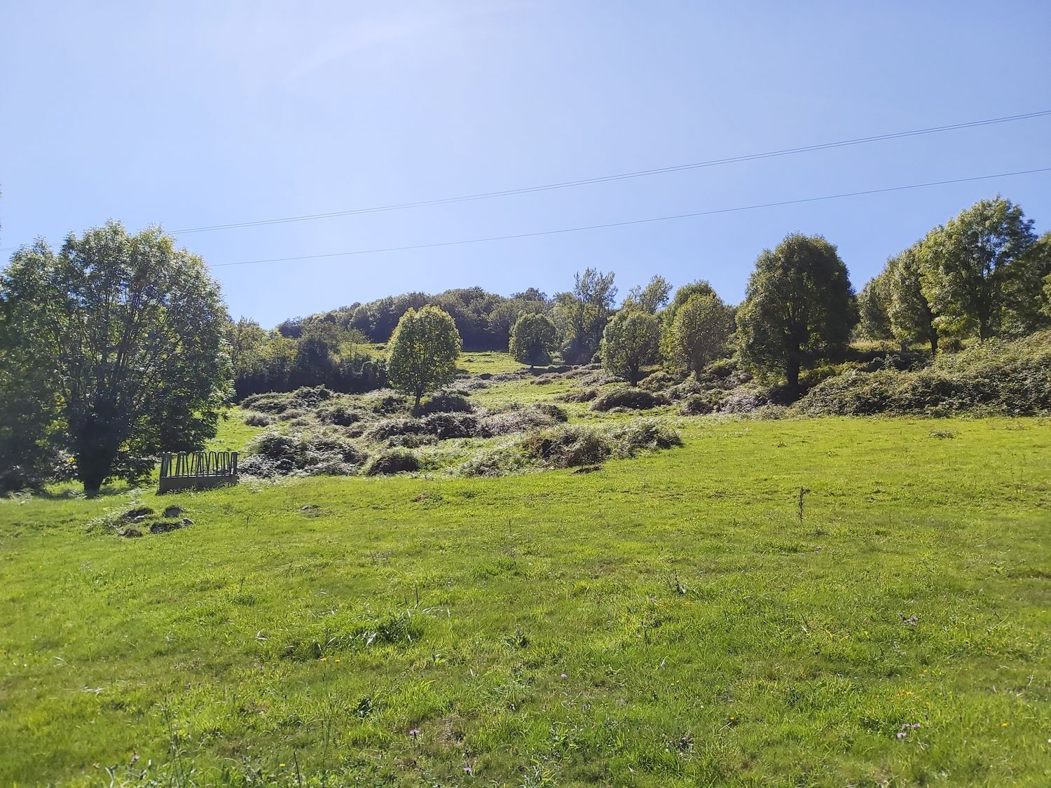 Casas o chalets-Venta-OnÃ­s-570811-Foto-10