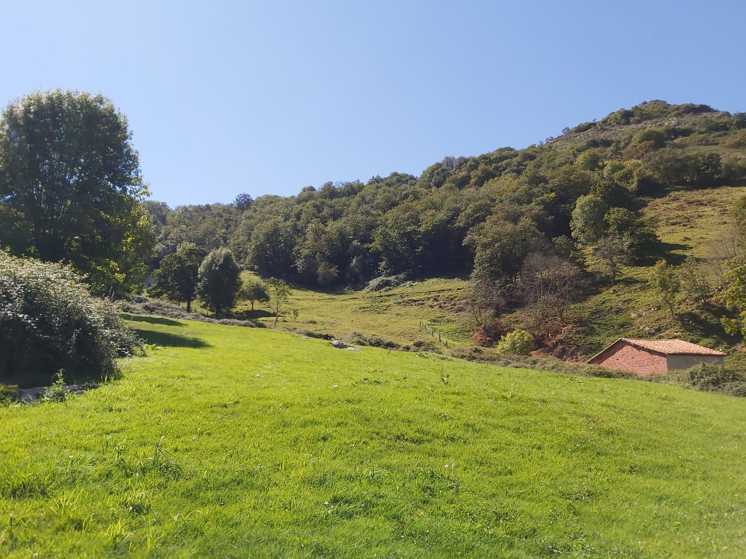Casas o chalets-Venta-OnÃ­s-570811-Foto-16