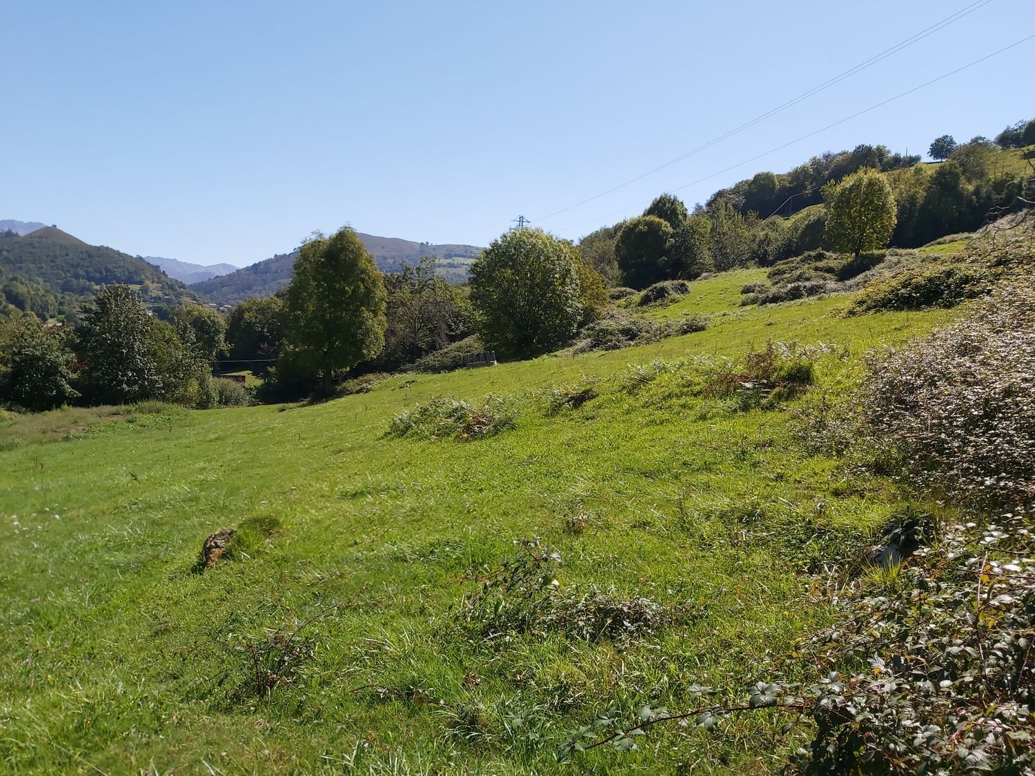 Casas o chalets-Venta-OnÃ­s-570811-Foto-17