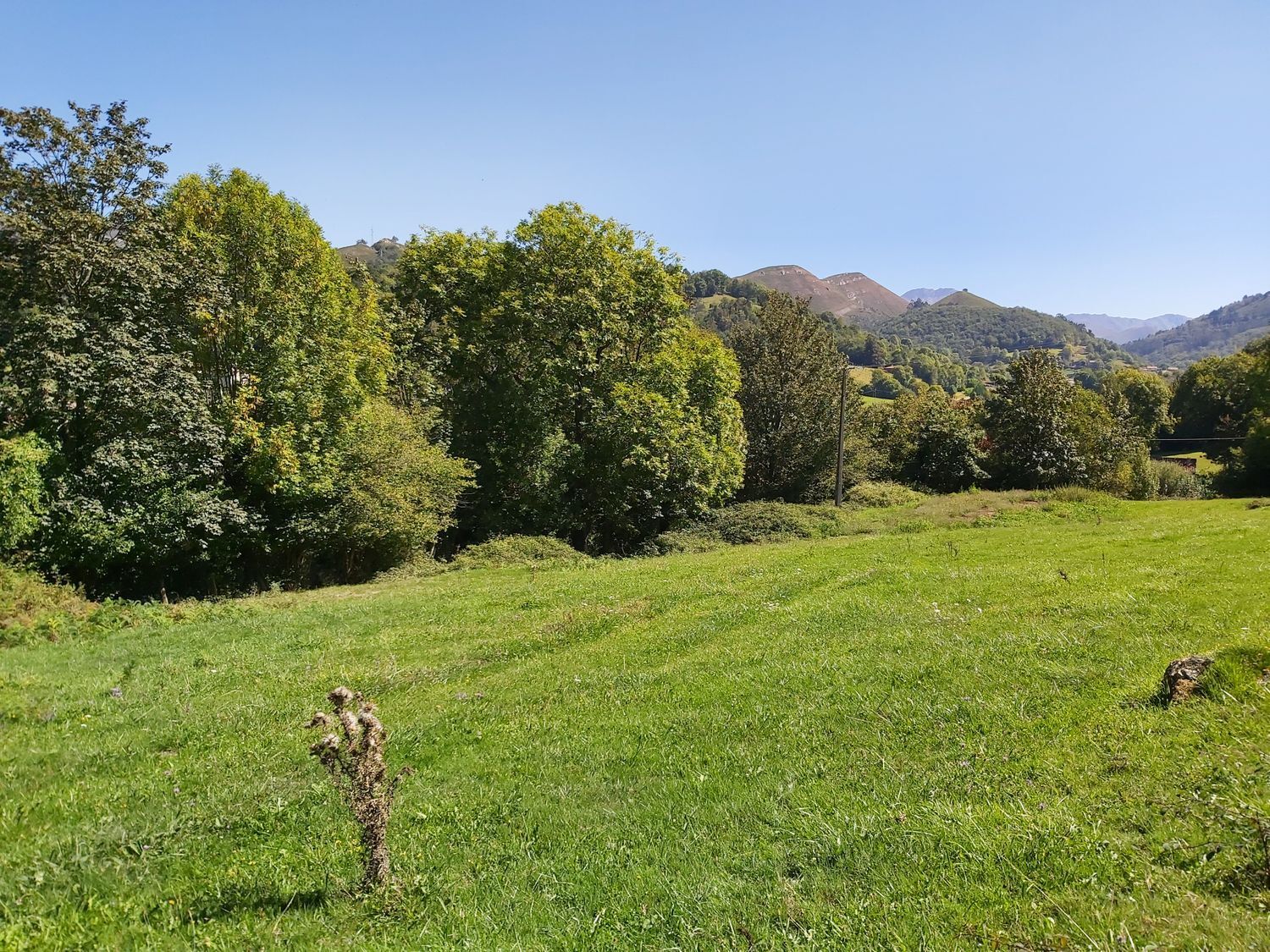 Casas o chalets-Venta-OnÃ­s-570811-Foto-18