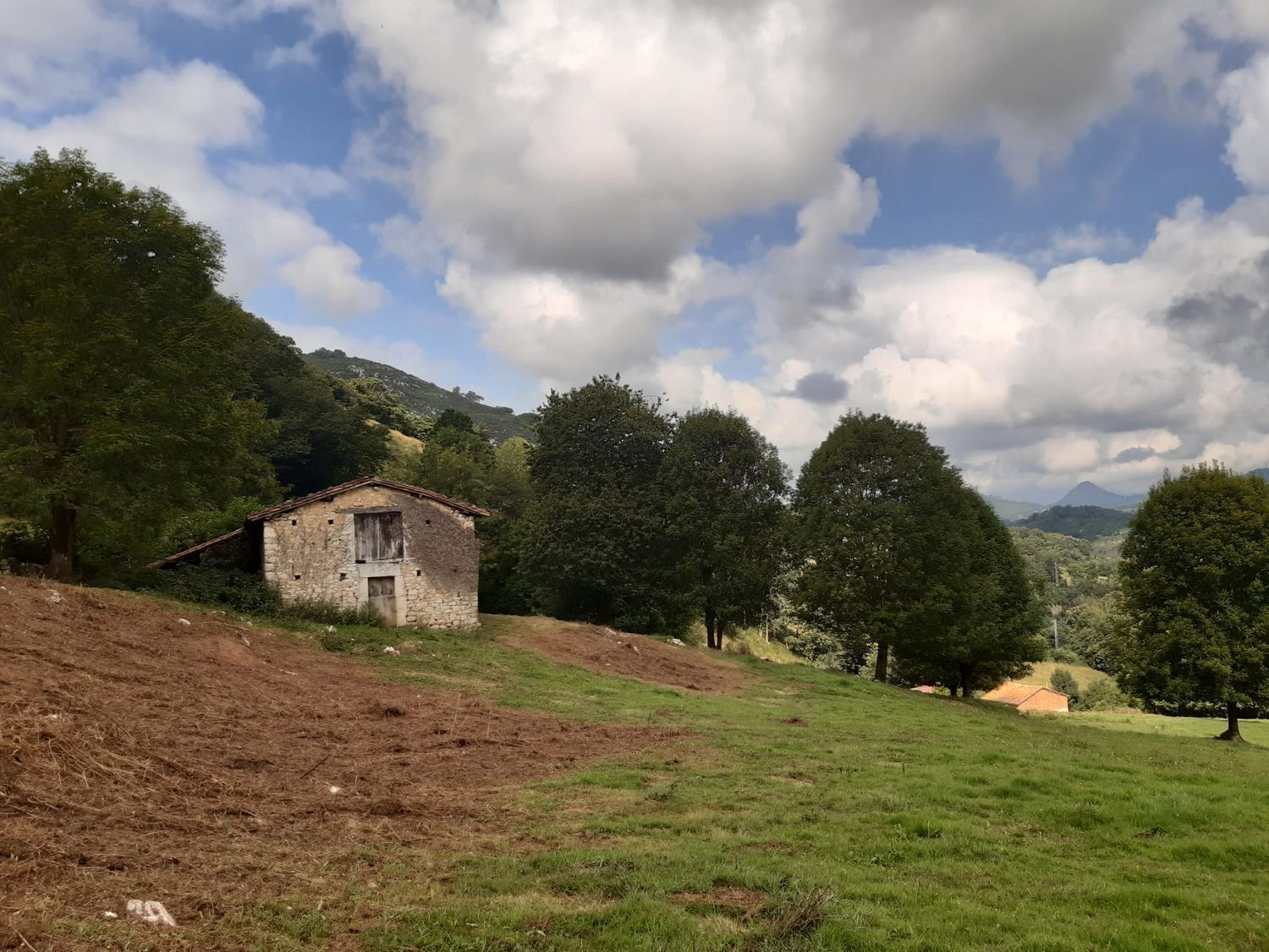 Casas o chalets-Venta-OnÃ­s-570811-Foto-47