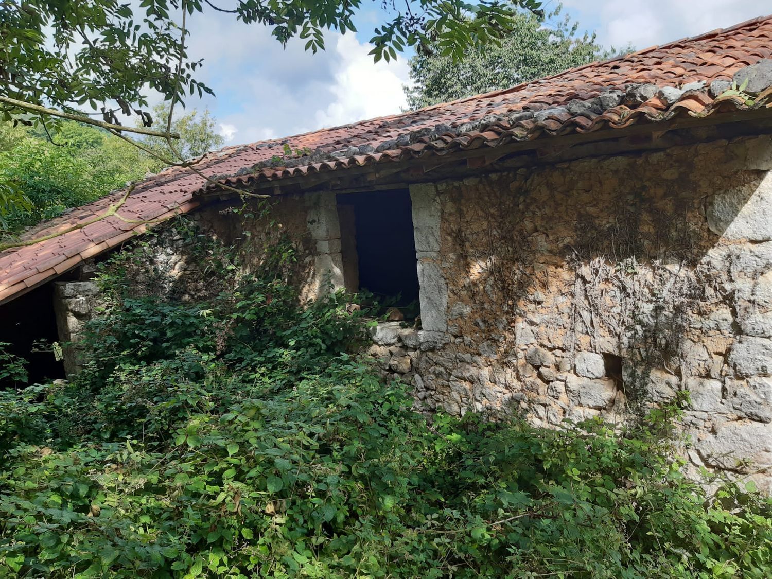 Casas o chalets-Venta-OnÃ­s-570811-Foto-51