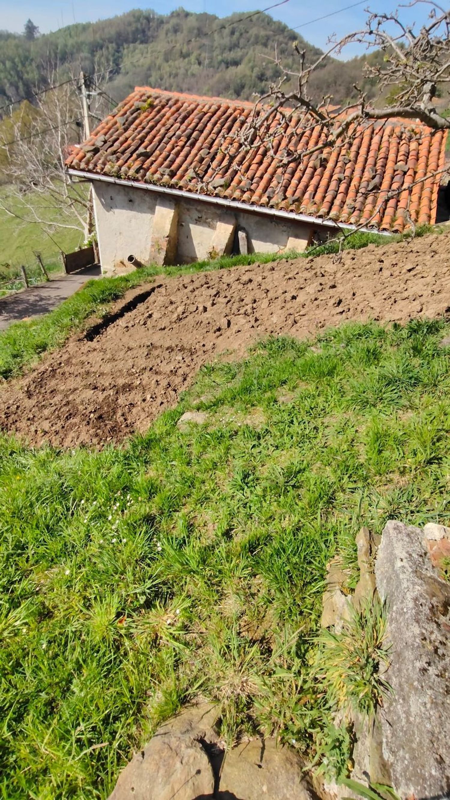 Casas o chalets-Venta-San MartÃ­n del Rey Aurelio-1718146-Foto-28
