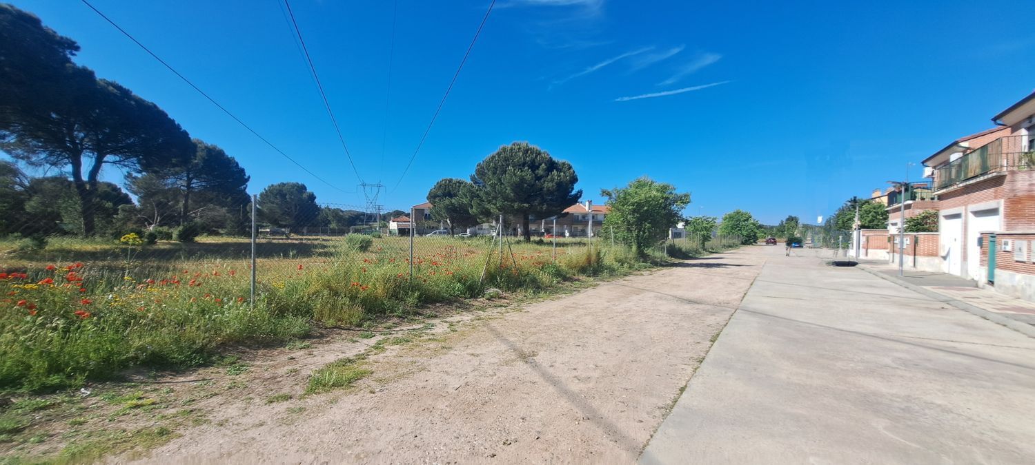 Fincas y solares-Venta-Laguna de Duero-1734169-Foto-16