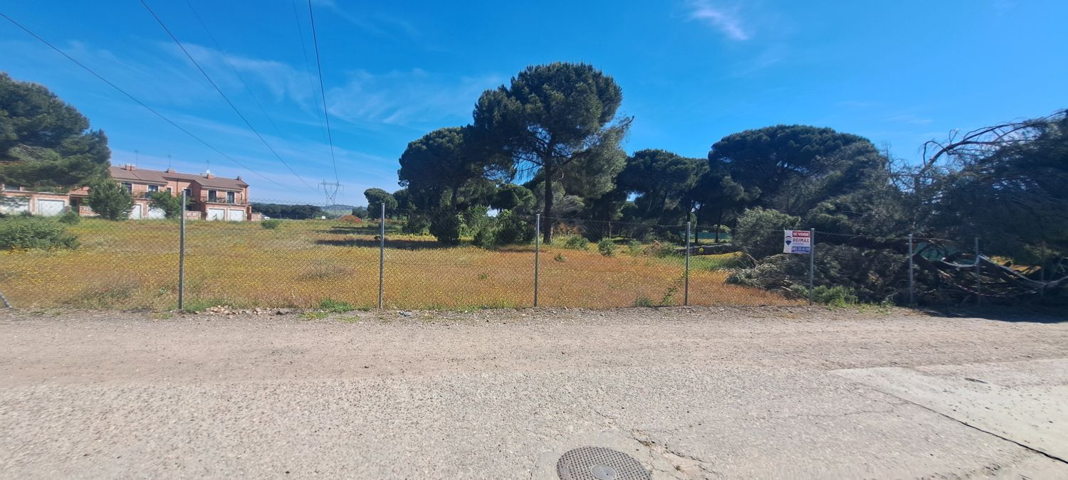 Fincas y solares-Venta-Laguna de Duero-1734169-Foto-40