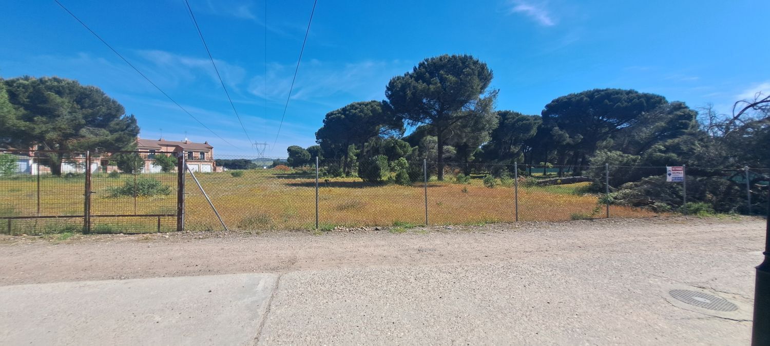 Fincas y solares-Venta-Laguna de Duero-1734169-Foto-41