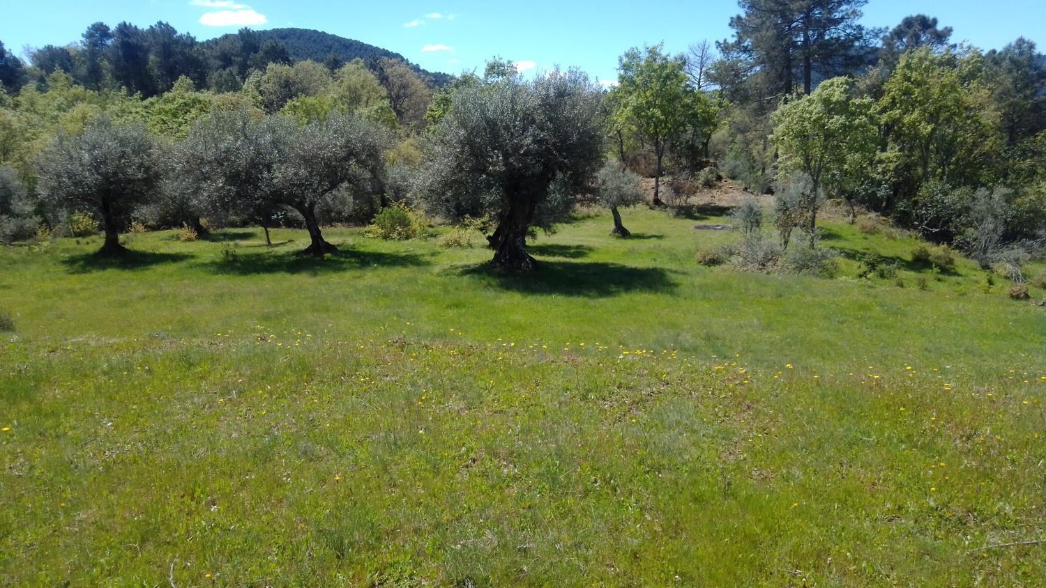 Suelo en alquiler, MombeltrÃ¡n, Ãvila, Ãvila