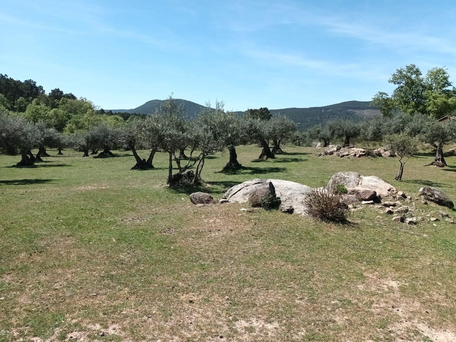 Terreno en alquiler en Mombeltran 5/12