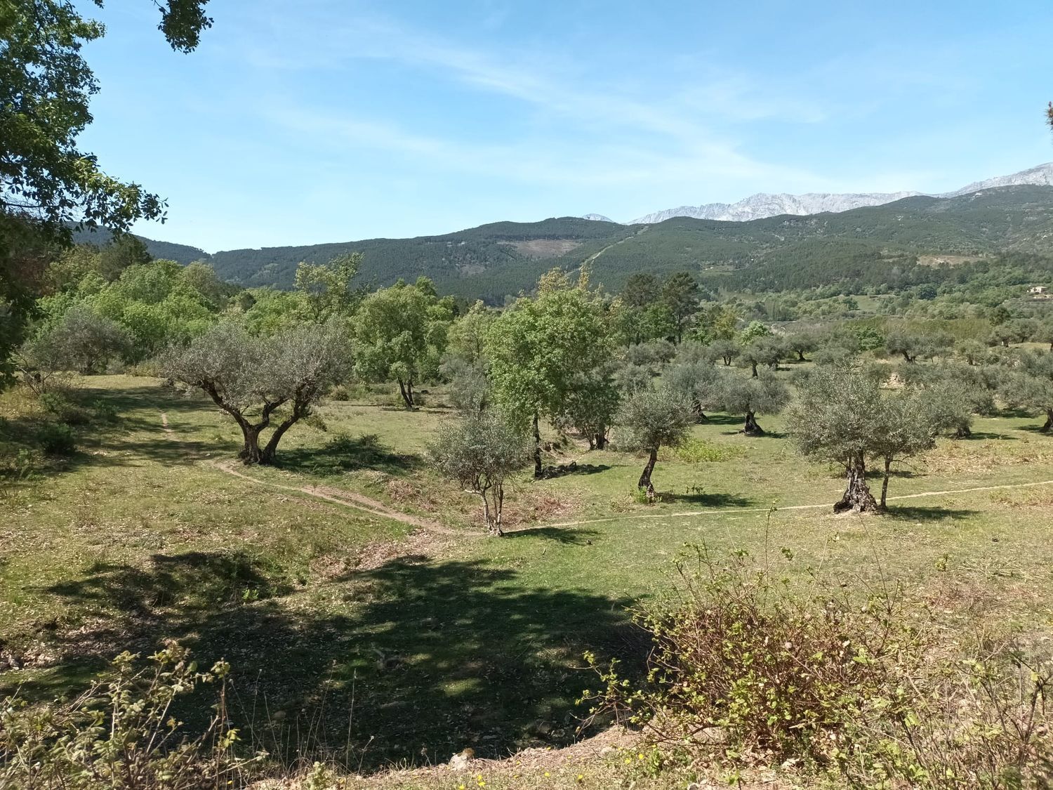Terreno en alquiler en Mombeltran 9/12