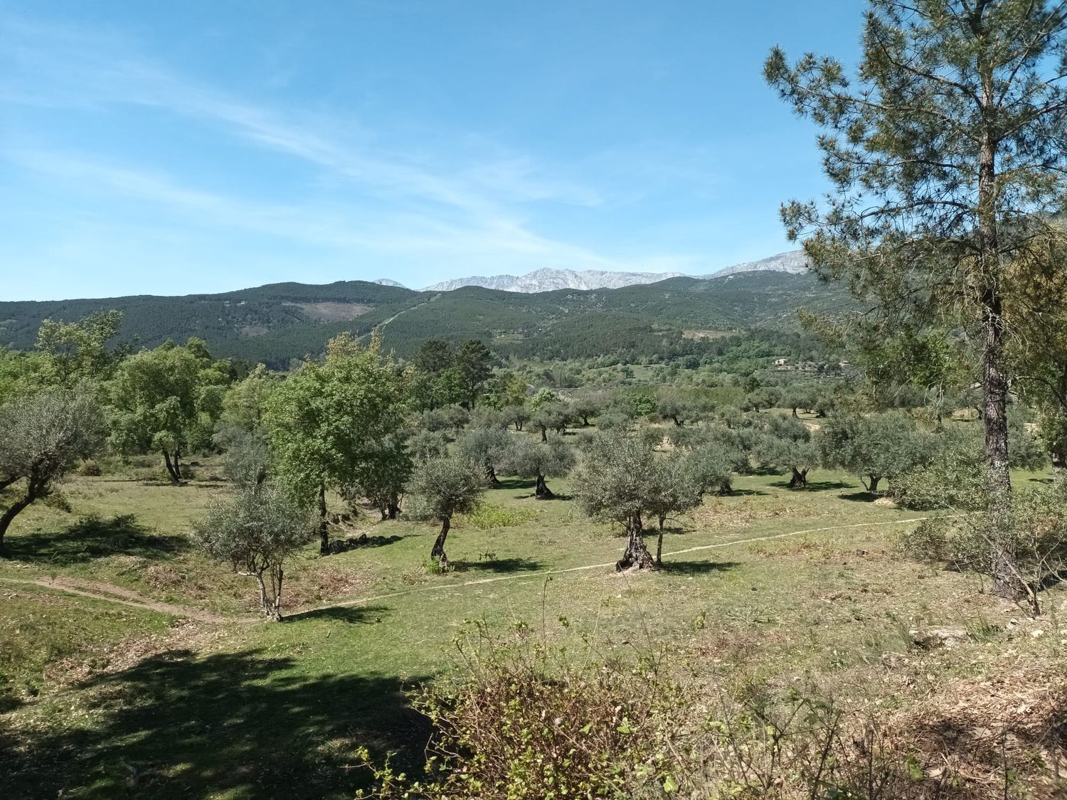 Terreno en alquiler en Mombeltran 10/12